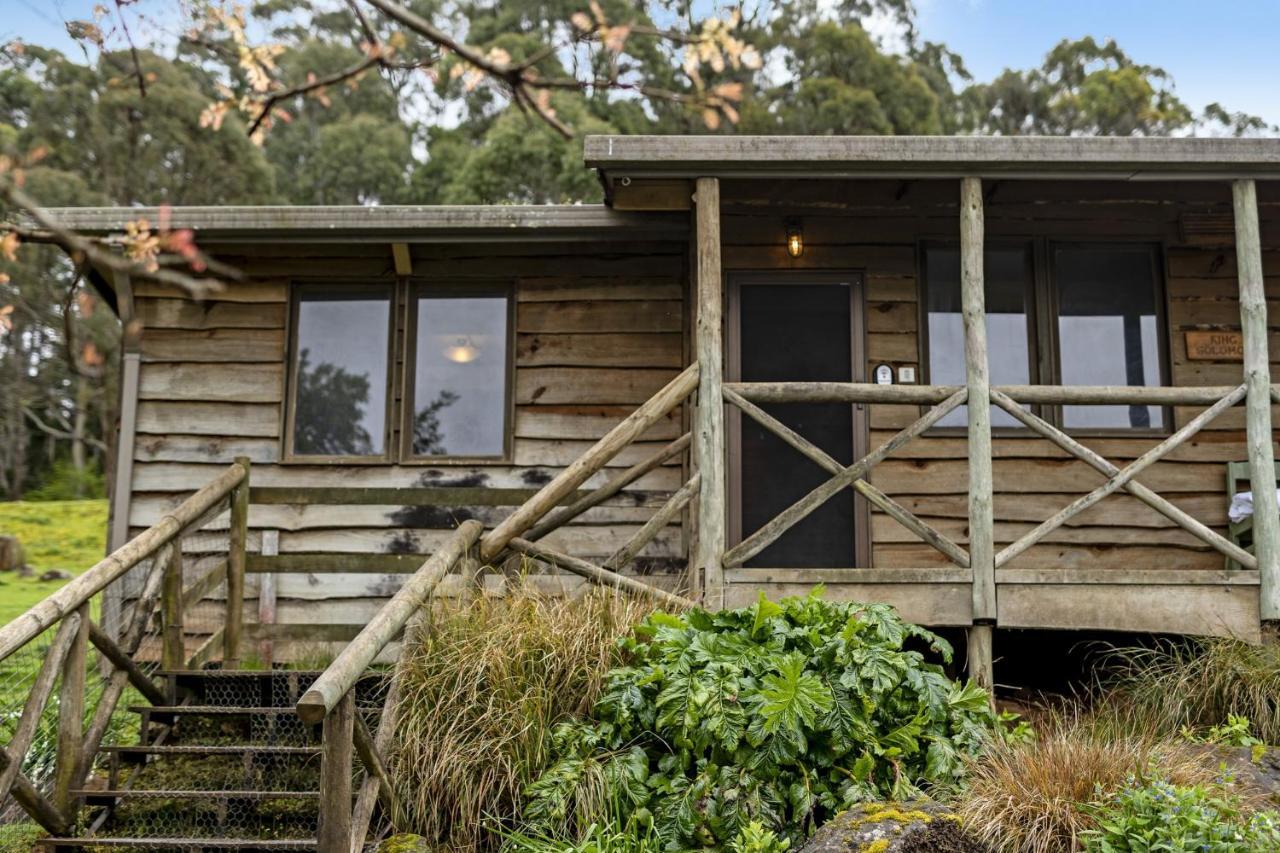 Mole Creek Cabins Eksteriør billede