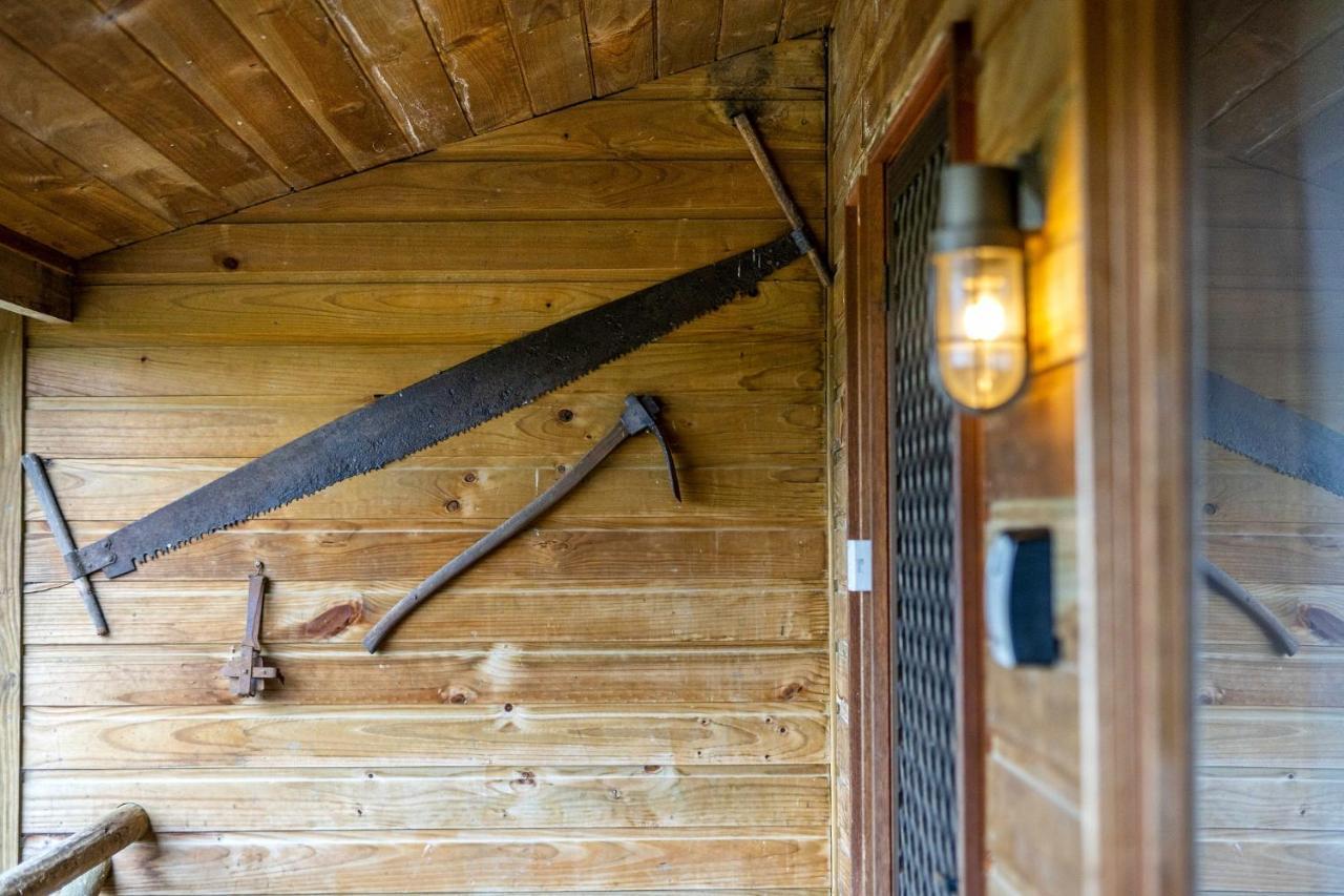 Mole Creek Cabins Eksteriør billede