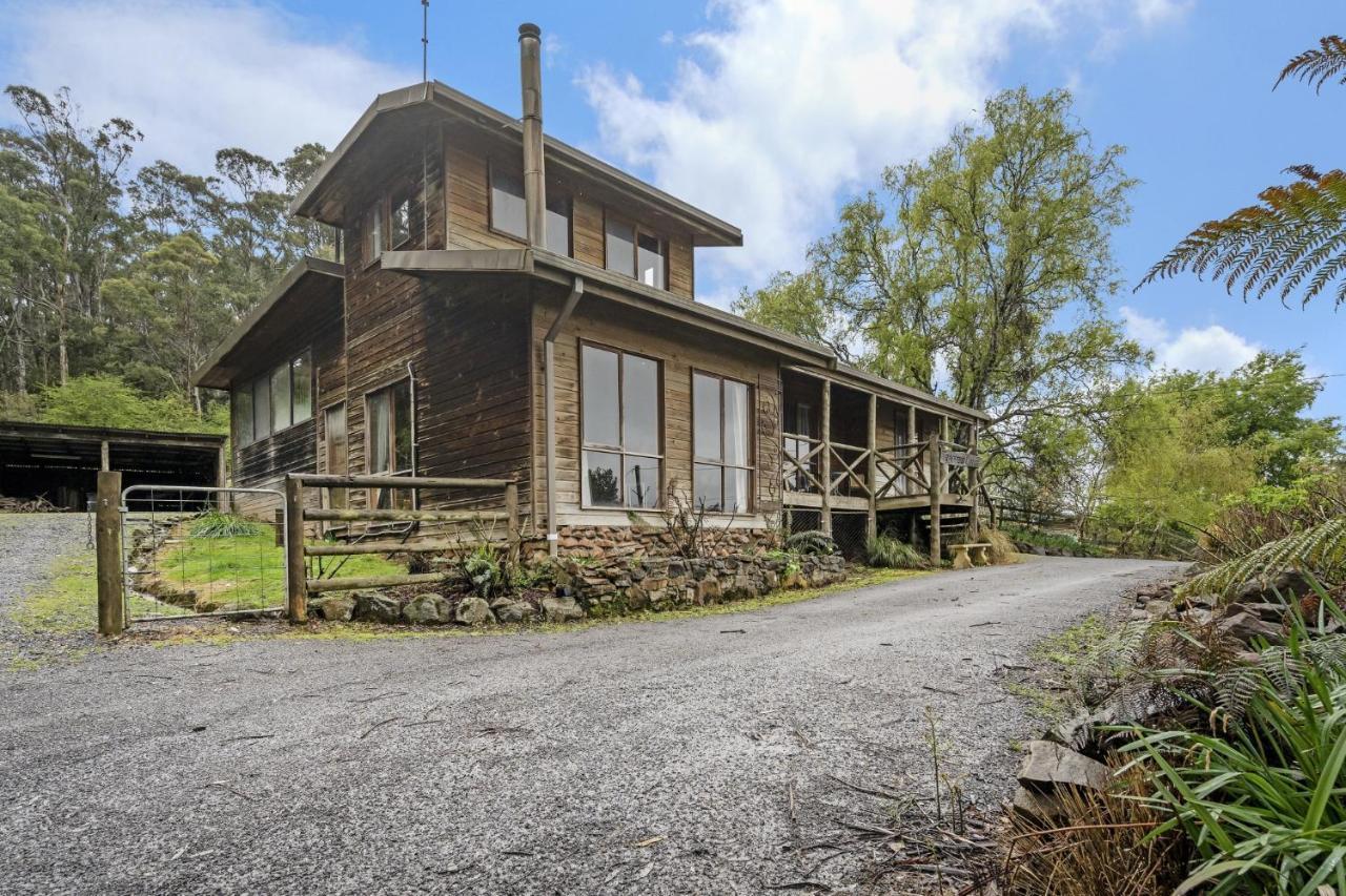 Mole Creek Cabins Eksteriør billede